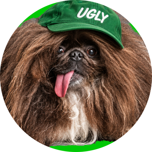 UGLY